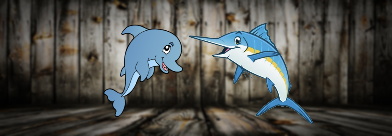 Cabo San Lucas: Fish On The Line!