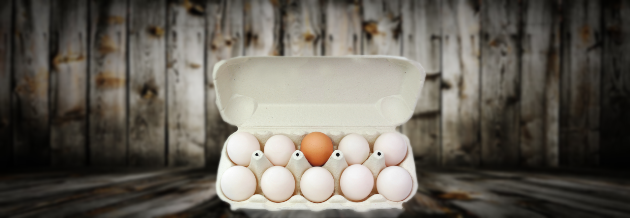 Madness: Not Fitting Into Today’s Society