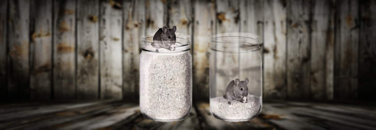 The Mouse and The Jar