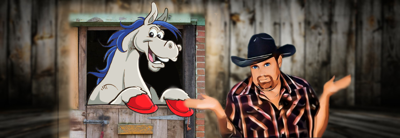 City Roots, Cowboy Boots