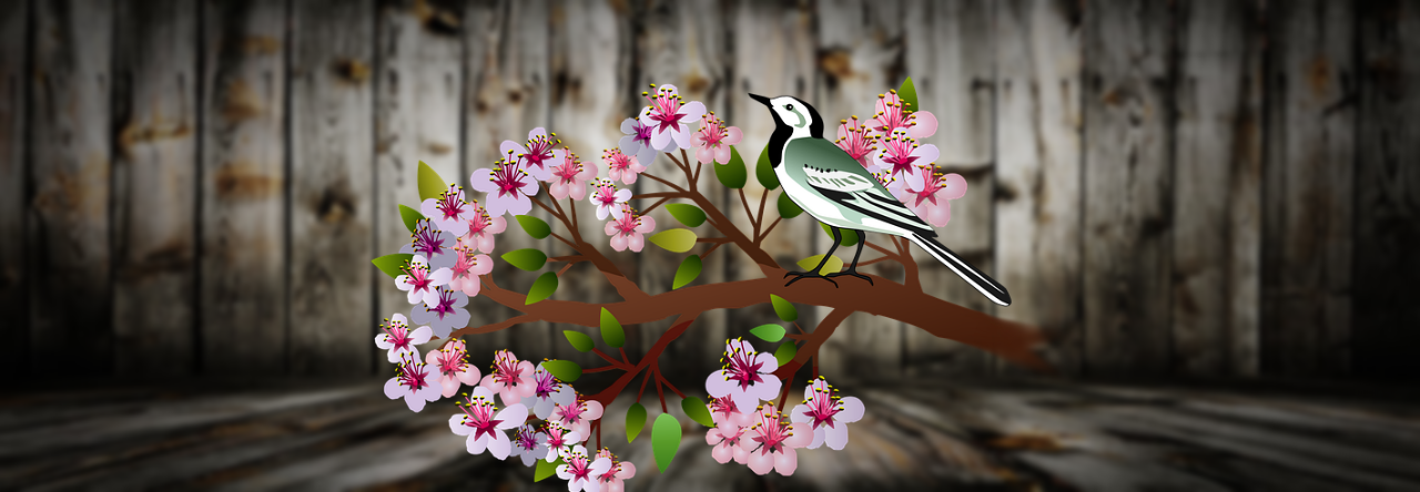 Empty Nest, Quiet Heart: A New Journey