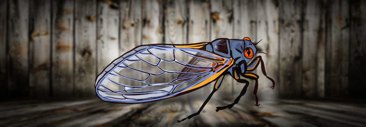 Carl the Cicada: Buzzed And Confused