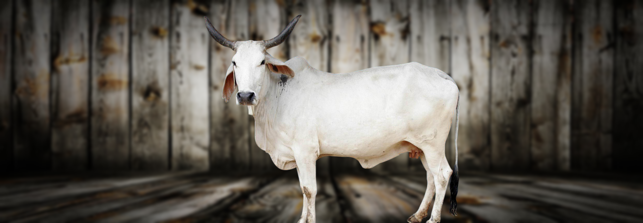 Past the Posts, Toward the Peaks