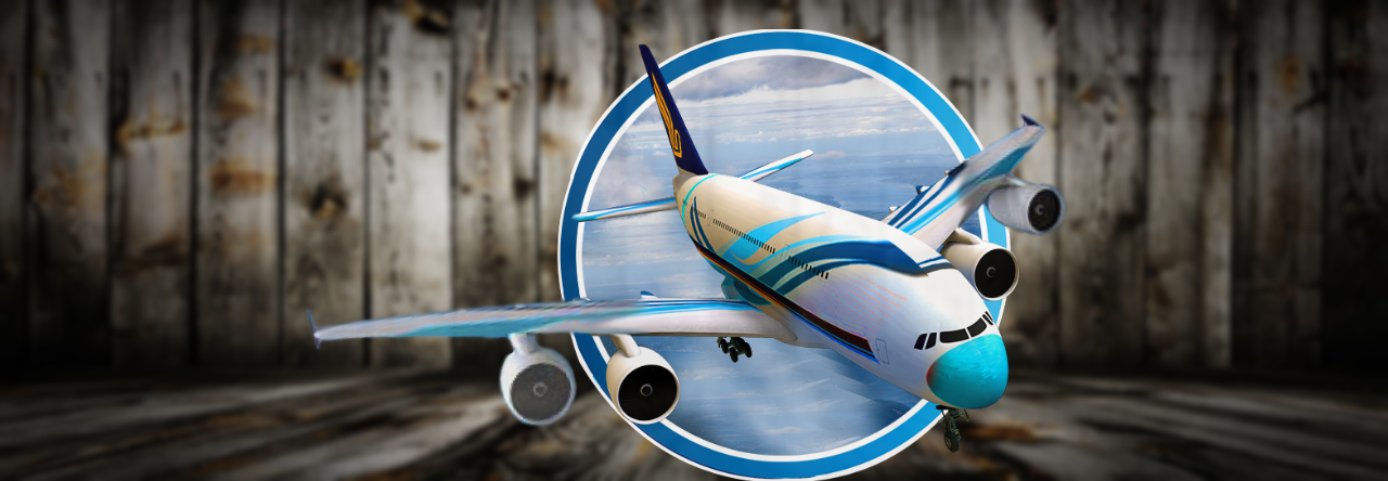 Sassy Skies and Safe Landings