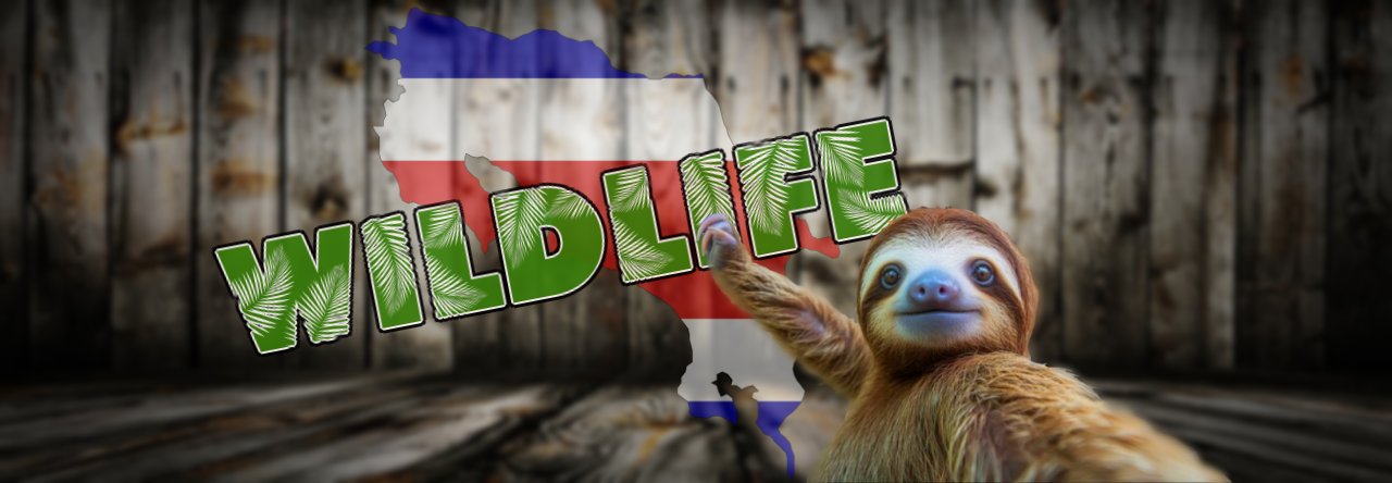 Wildlife Whispers When You’re Not Listening